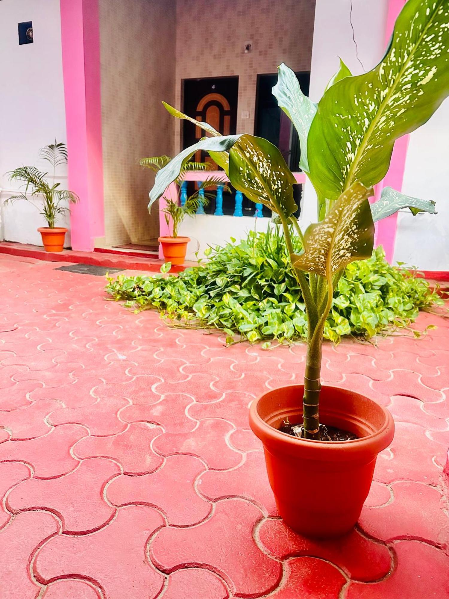 Blue Mirage Palolem Goa Hotel Canacona Luaran gambar
